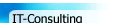 IT-Consulting