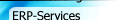 ERP-Services
