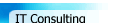 IT Consulting