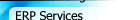 ERP Services