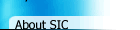 About SICConsultant finden